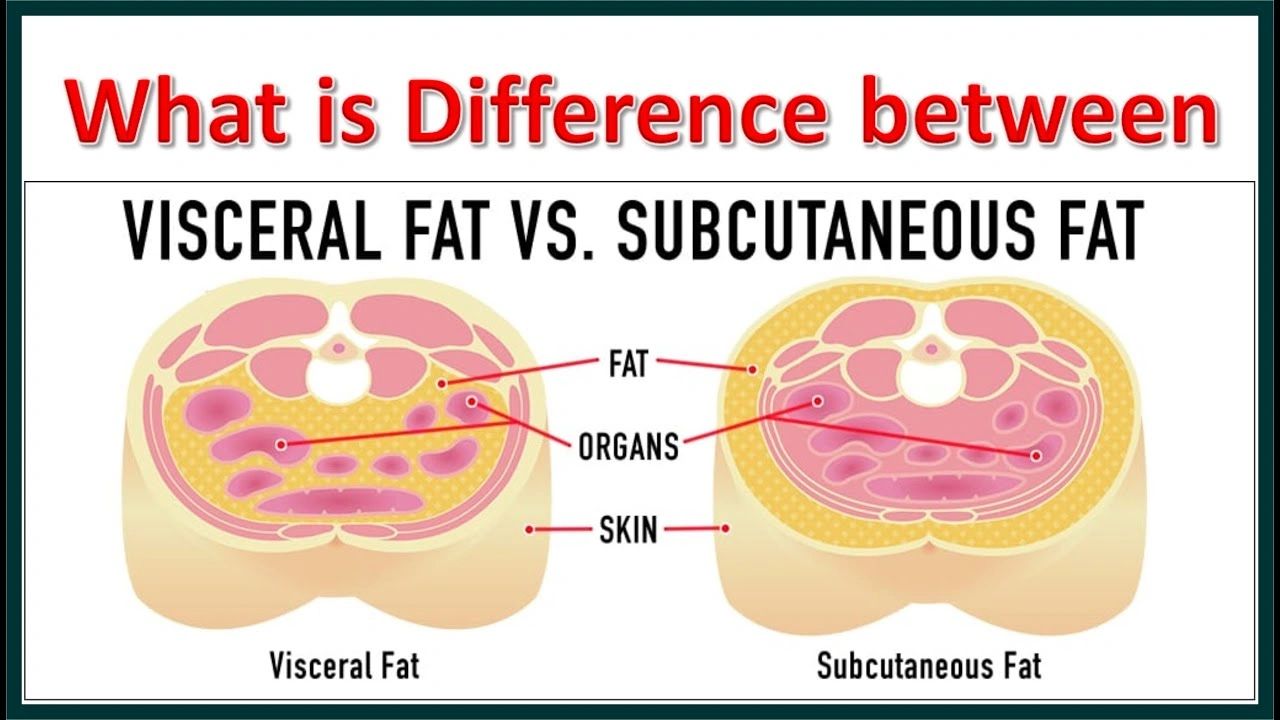 The Science Of Fat Loss